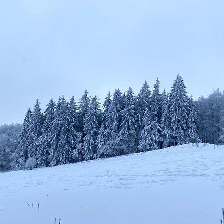 Le Chalet Du Hohwald Экстерьер фото